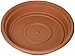 Bloem SDC14-46 Dura Cotta Plant Saucer, 14-Inch, Terra Cotta