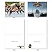 M6448TYG The Flying K9: 10 Assorted Thank You Note Cards Featuring a Variety of Dog Breeds Enjoying Flights of Fancy, w/White Envelopes.