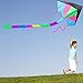 LIDERSTAR Huge Kite for Kids and Adults -Big Rainbow Kite 61 Inches Wide – Long Tail 95 inch,100 Meter String -Easy to Fly Toy for Outdoor Games and Activities -Good Plan for Memorable Fun