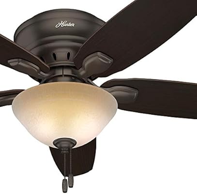 Hunter Fan 52 Inch Casual Premier Bronze Flush Mount Indoor