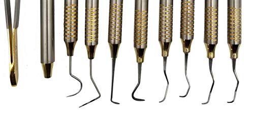 Dental Cleaning Tool kit Set of curettes Dental Hygienist Tool kit ARTMAN Brand by Wise Linkers