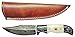 Titan International Knives Damascus Steel Hunting Knife