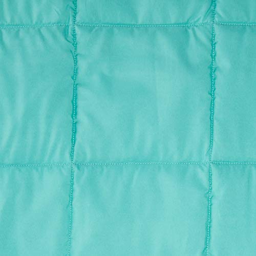 Kelty Bestie Blanket, Limited Edition Indoor/Outdoor Insulated