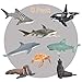 Gizmovine Shark Toy for Boys Animals Toys Sea Creature Toys for Kids Plastic Ocean Animals Figurines Pool Toys for Toddlers Bath Toys Boys and Girls (Sea Animal Set)
