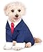 Rubies Business Suit Pet Costume for Dogs or Cats, Medium