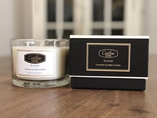 Aromatherapy Stress Relief 3 Wick Candle Eucalyptus Spearmint Caitlins Home