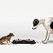 Pet Bowls Puppy Food Bowls Stainless Steel Dog Cat Bowls with No Spill Non-Skid Silicone Mat 24oz Feeder Bowls for Small Dogs Cats Pet-Black