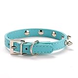 Comemall 6 Colors Adjustable Small/medium Dog Collar Croc Leather Spike Studs Collar Xs-l6 Colors Adjustable Small/medium Dog Collar Croc Leather Spike Studs Collar Xs-l (Blue, XS)