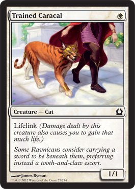 Magic: the Gathering - Trained Caracal (27) - Return to Ravnica