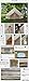 DANCHEL 4-Season Family Cotton Bell Tents (10ft 13.1ft 16.4ft 19.7ft Dia. Size Options)
