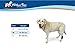 Hock Wrap | Dog Brace for Rear Leg | Joint Support for Dogs | Helps Canine Arthritis