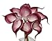 Angel Isabella, LLC 20pc Set of Keepsake Artificial Real Touch Calla Lily with Small Bloom Perfect for Making Bouquet, Boutonniere,Corsage (Burgundy Wine Trim)