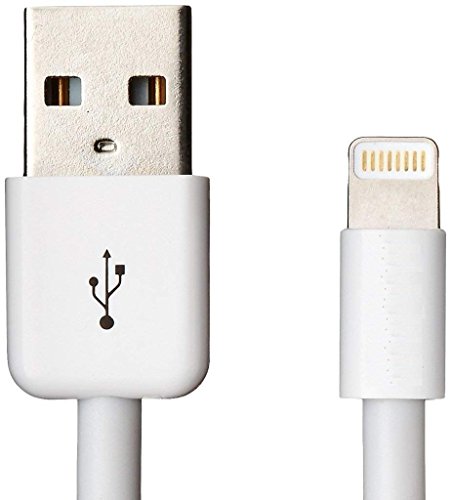 YCNEX Fast USB Data Sync and Charging Cable for iPhone, iPad Air, Mini, iPod NanoMand Touch (White)