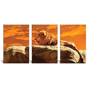 Canvas Wall Art Wild View Animals Beasts Painting Artwork for Home Prints Framed - 16"x24" x 3 Panels