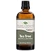 Plant Therapy Tea Tree Essential Oil – 100% Pure, Undiluted, Natural Aromatherapy for Skin, Hair & Home – Therapeutic Grade Melaleuca alternifolia 100 mL (3.3 oz)