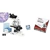 50 Prepared Slides with Wooden Box (Set A)+Blank Slides+Cover Slips...