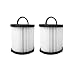 Reinlichkeit 2-Pack Vacuum Filter for Eureka DCF-21. Compare to Part # 67821, 68931, 68931A, EF91