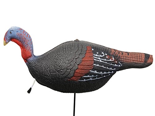 image for TargetEvo 2 Pack Jake & Hen Turkeys Decoy for Hunting with Stakes Carr