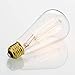 Light Bulbs - 6 Pack - 60 watt Clear Glass Edison Bulbs for Home and Office - Vintage Lighting by Scandic Gear