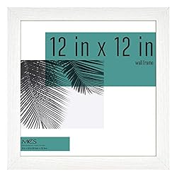 MCS Studio Gallery Frame, White Woodgrain, 12 x 12