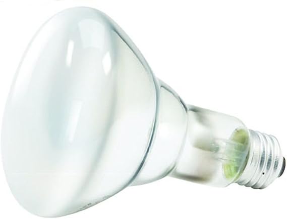 Philips Dimmable Flood LED Light Bulbs