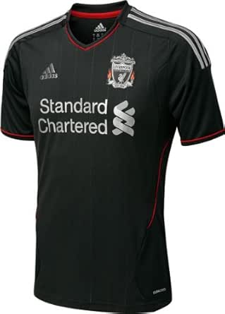 Amazon.com: Liverpool Football Club Grey adidas Soccer ...
