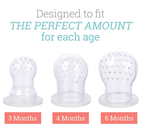 Fresh Food Fruit Feeding Pacifier 3 Different Sized Silicone