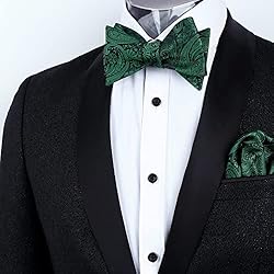 Alizeal Men Self-tied Paisley Bow Tie and Pocket
