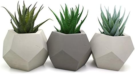 Six Canyons Faux Cactus Plants – Perfect Home Decor Cacti / Succulents (3 Plants Only)