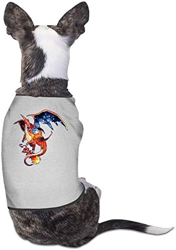 Ror Charizard Mega Doggy T-Shirt Gray