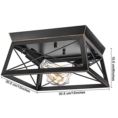HMVPL Industrial Close to Ceiling Light, Farmhouse Flush Mount Pendant Lighting Fixtures Mini Ceiling Lamp 2-Light for Kitchen Island Dining Room Bedroom Foyer Hallway