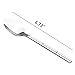 Lesbin Stainless Steel Flatware Dessert Spoon/Teapoon, Set of 12