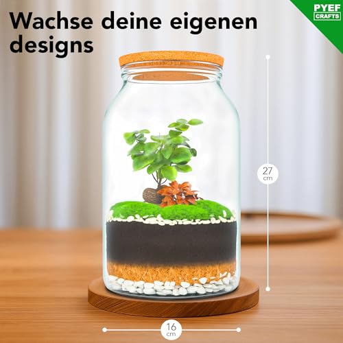 PYEF CRAFTS Bottle Garden Complete Set XL for Ecosystem in Glass - 4L Terrarium Plants for Biotope in Glass - Biosphere Terrarium Set - Kit Without Plant (Bottle Garden Large 4L)