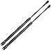 ECCPP Lift Support Hood Replacement Struts Gas Springs Fit for Jeep Liberty 2.8L 2005-2006,for Jeep Liberty 3.7L 2002-2007 Set of 2
