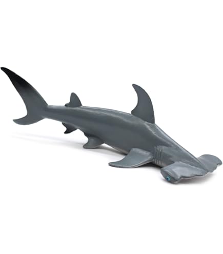Amazon.com: Safari Ltd. Hammerhead Shark Figurine - Detailed 6.5