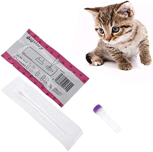 โค Cat Test Paper Home Health Detection for Feline Panleukopenia Virus FPV