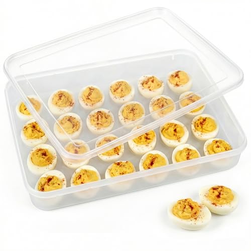 HANSGO Deviled Egg Containers Lid