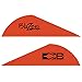 Bohning Blazer Vane (Pack of 36), Neon Red , 2