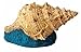 Hydor H2Show Atlantis - Shell Decoration for Aquariums