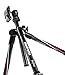 Manfrotto MKBFRC4-BH Befree Carbon Fiber Tripod with Ball Head (Black)