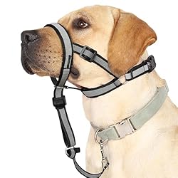 Reflective Head Collar, No Pull Collar for Small