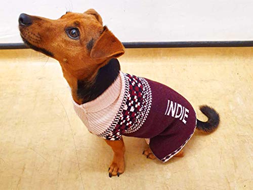 personalised dog jumpers