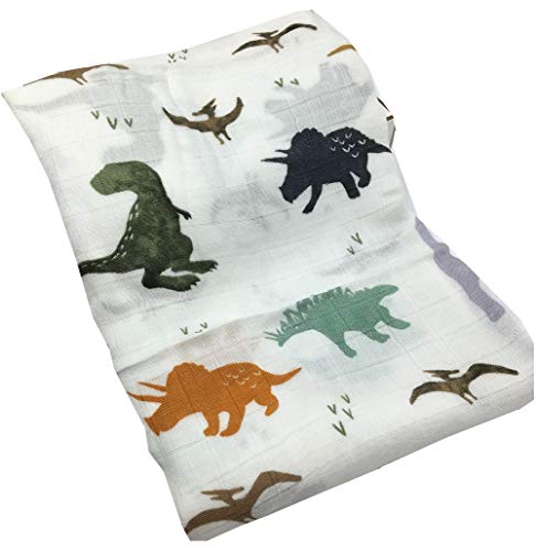 dinosaur receiving blankets