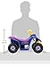 Power Wheels Lil' Quad Ride-On for Toddlers