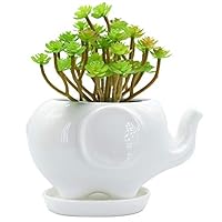 GeLive Elephant White Ceramic Succulent Planter Flower Plant Pot Window Box with Saucer Animal Decor (Mom Elephant)