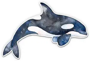 Watercolor Orca - 5
