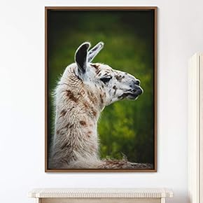 signwin Framed Canvas Wall Art Llama Animals Camels...