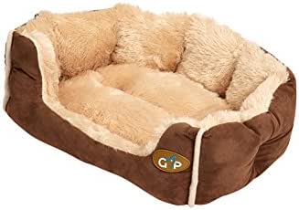 can my guinea pig eat apples