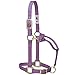 Weaver Leather Original Adjustable Nylon Horse Halter, Average Horse, Lavender