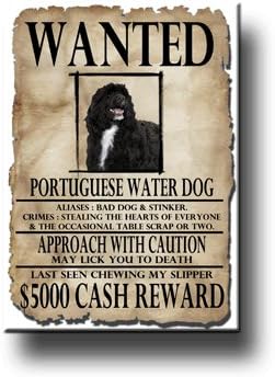 Portuguese Water Dog Wanted Fridge Magnet